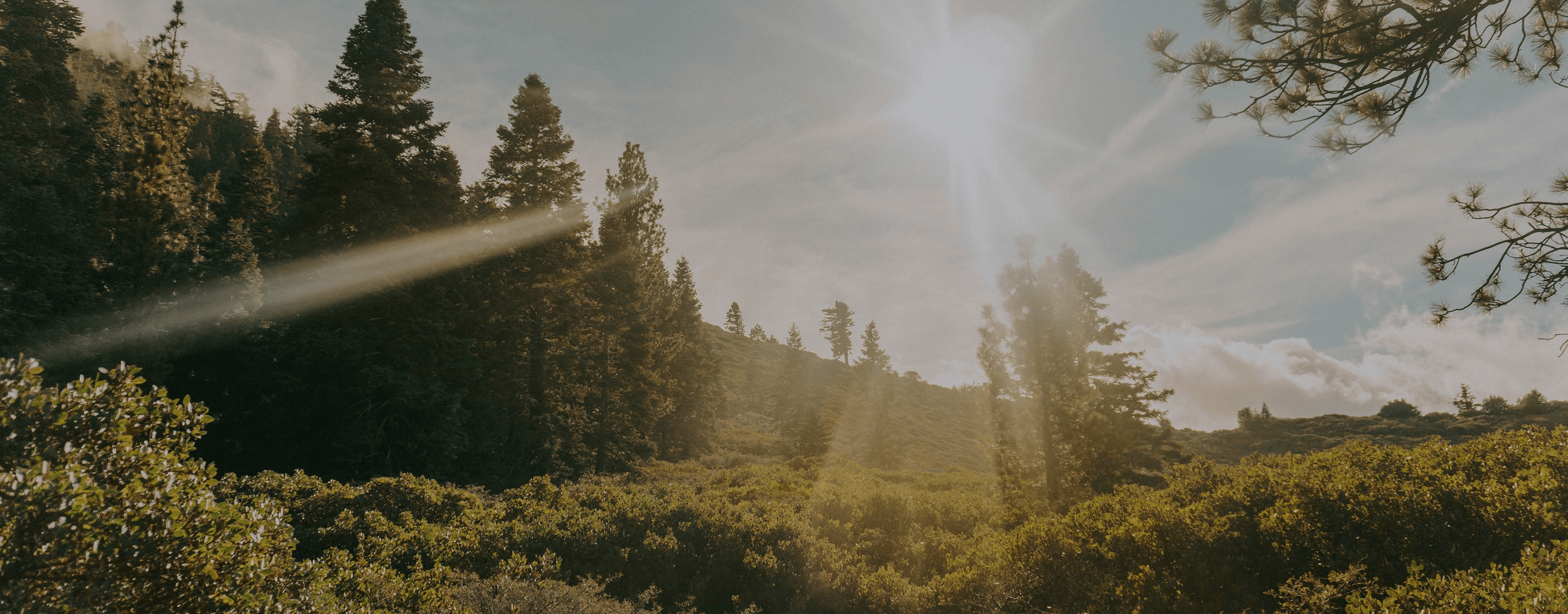 막막한 삶의 여정 속에서